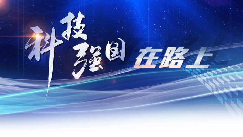 SaaS售后服务全解析：企业IT决策者的必备指南